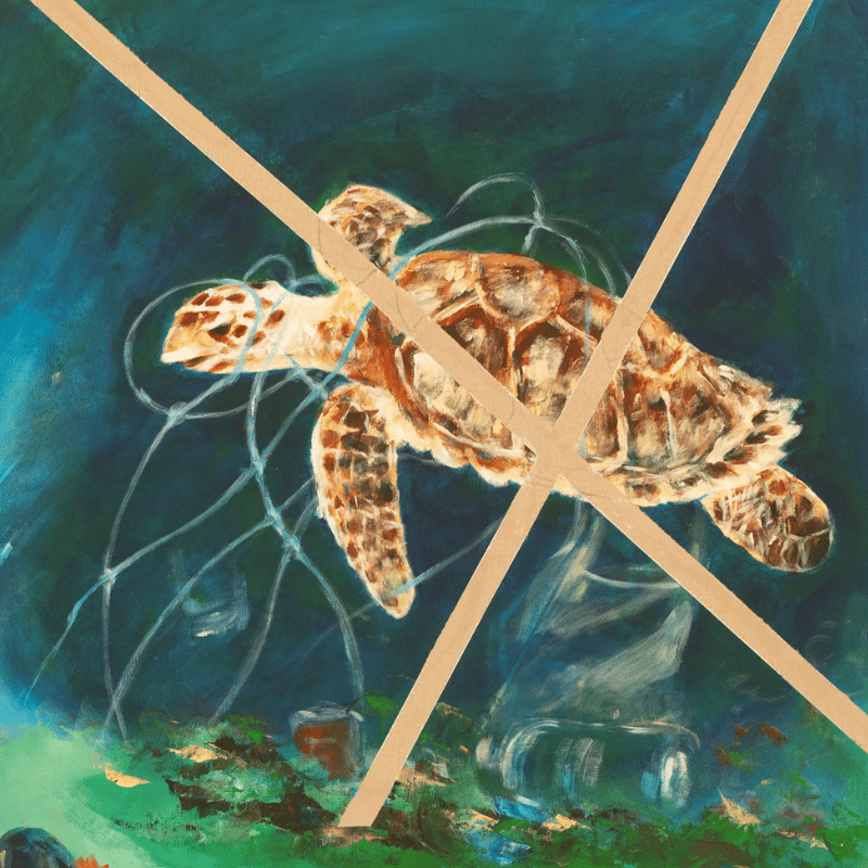 ODS 14 - Proteger a vida marinha